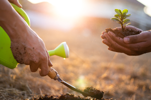 𝗘𝗹 𝗛𝗼𝗺𝗯𝗿𝗲 𝗲𝗰𝗼𝗹𝗼́𝗴𝗶𝗰𝗼 🌱 𝗽𝗿𝗶𝗺𝗶𝘁𝗶𝘃𝗼 𝗮𝗻𝗰𝗲𝘀𝘁𝗿𝗮𝗹 𝘆 𝘀𝘂 𝗿𝗲𝗹𝗮𝗰𝗶𝗼́𝗻 𝗰𝗼𝗻 𝗹𝗮 𝗻𝗮𝘁𝘂𝗿𝗮𝗹𝗲𝘇𝗮